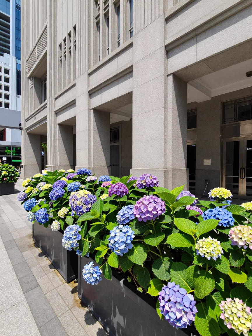 Midday Street Scene in Singapore with Hydrangeas and Art Deco Hotel Facade in in Singapore, Singapore