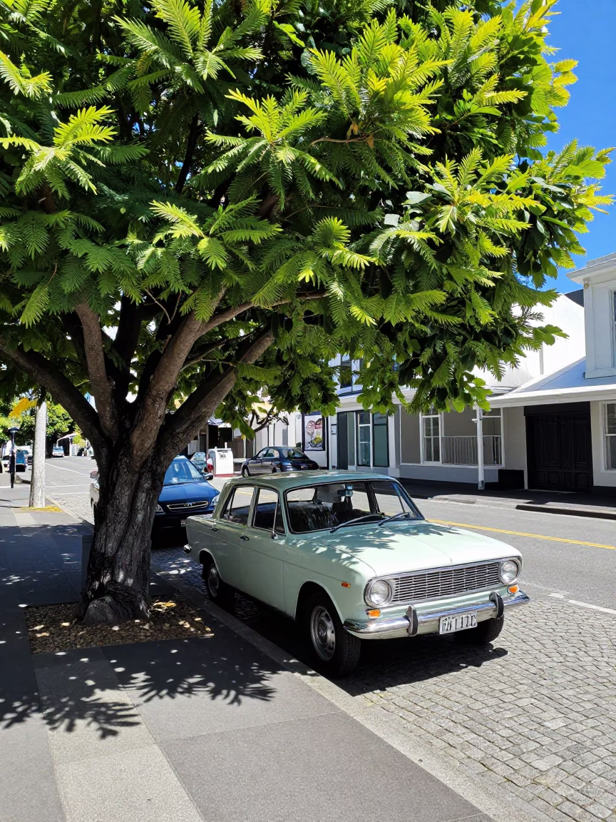 Midday Street Scene in Wellington New Zealand with Vintage Car and Tree in in Wellington, New Zealand