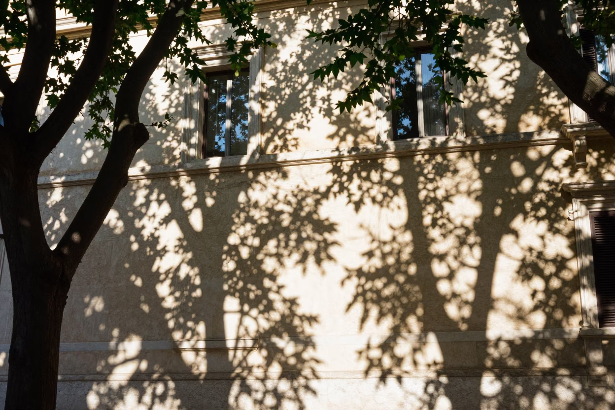 Midday Sun Dappled Shadows on Roman Plaster Wall with Strawberries and Doormat in in Rome, Italy