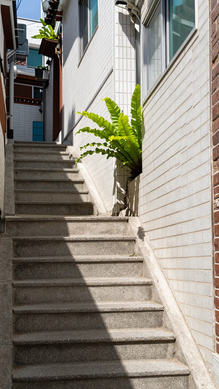 Midday Sunlight in Busan at Midday Light in in Busan, South Korea