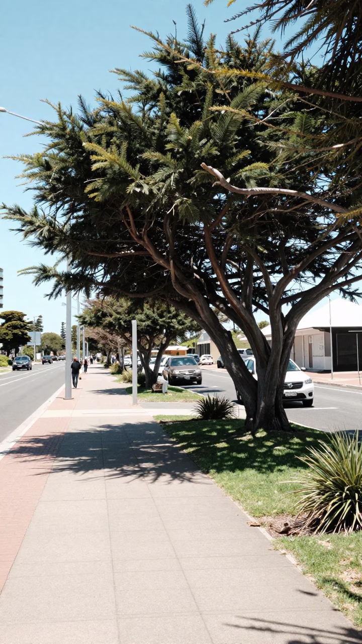 Midday Sunlight in Perth at Midday Light in in Perth, Western Australia, Australia