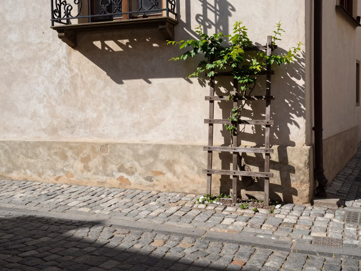 Midday Sunlight on Prague Cobblestones with Wicker Shadow and Sweet Pea Trellis in in Prague, Czech Republic