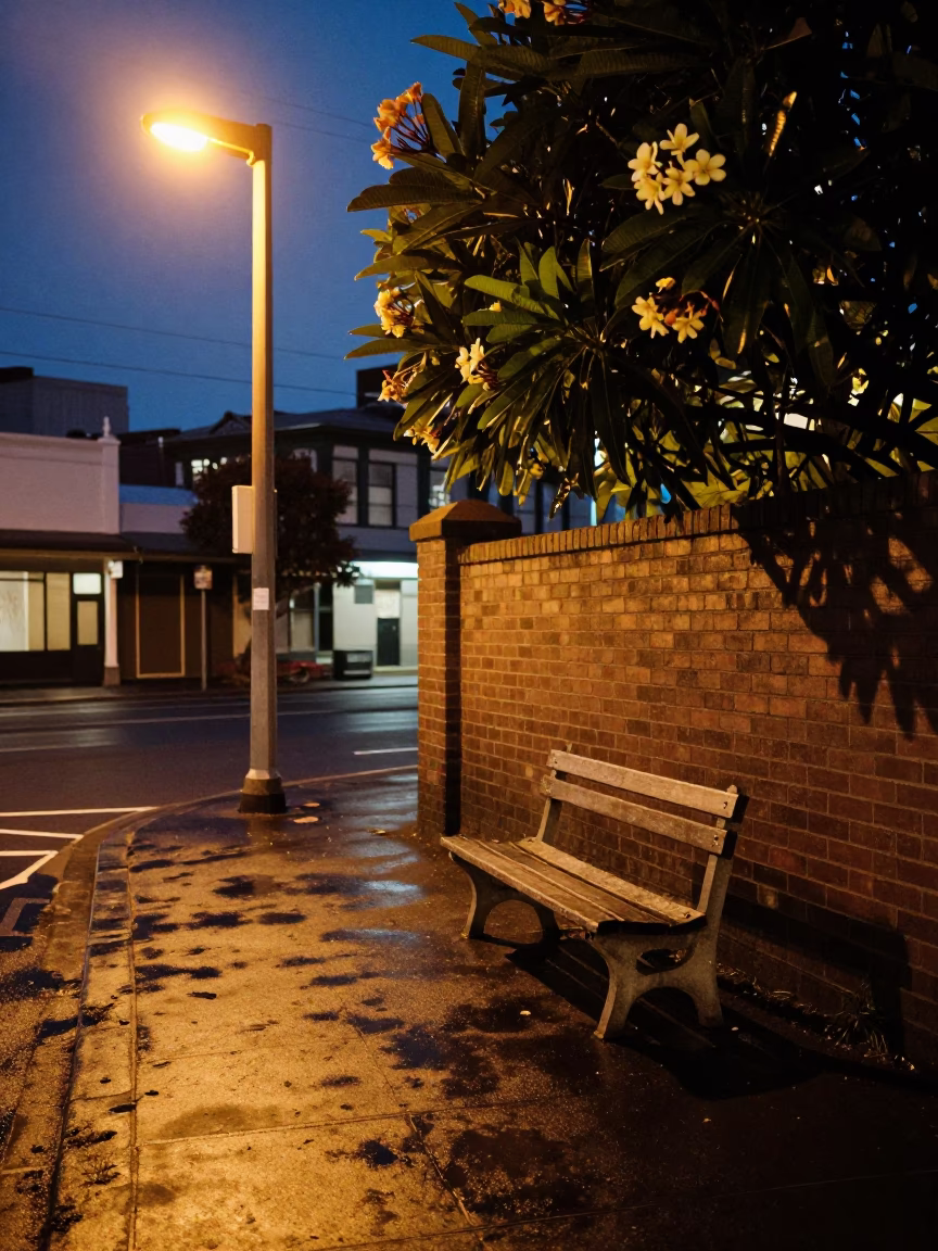 Midnight Auckland Street Scene with Park Bench and Frangipani Branch Under Streetlights in in Auckland, New Zealand