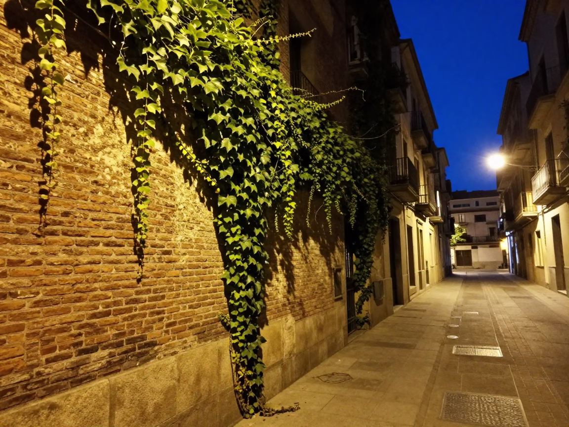 Midnight Barcelona Street Scene with Ivy Brick Wall and Succulents in Terracotta Pots in in Barcelona, Spain
