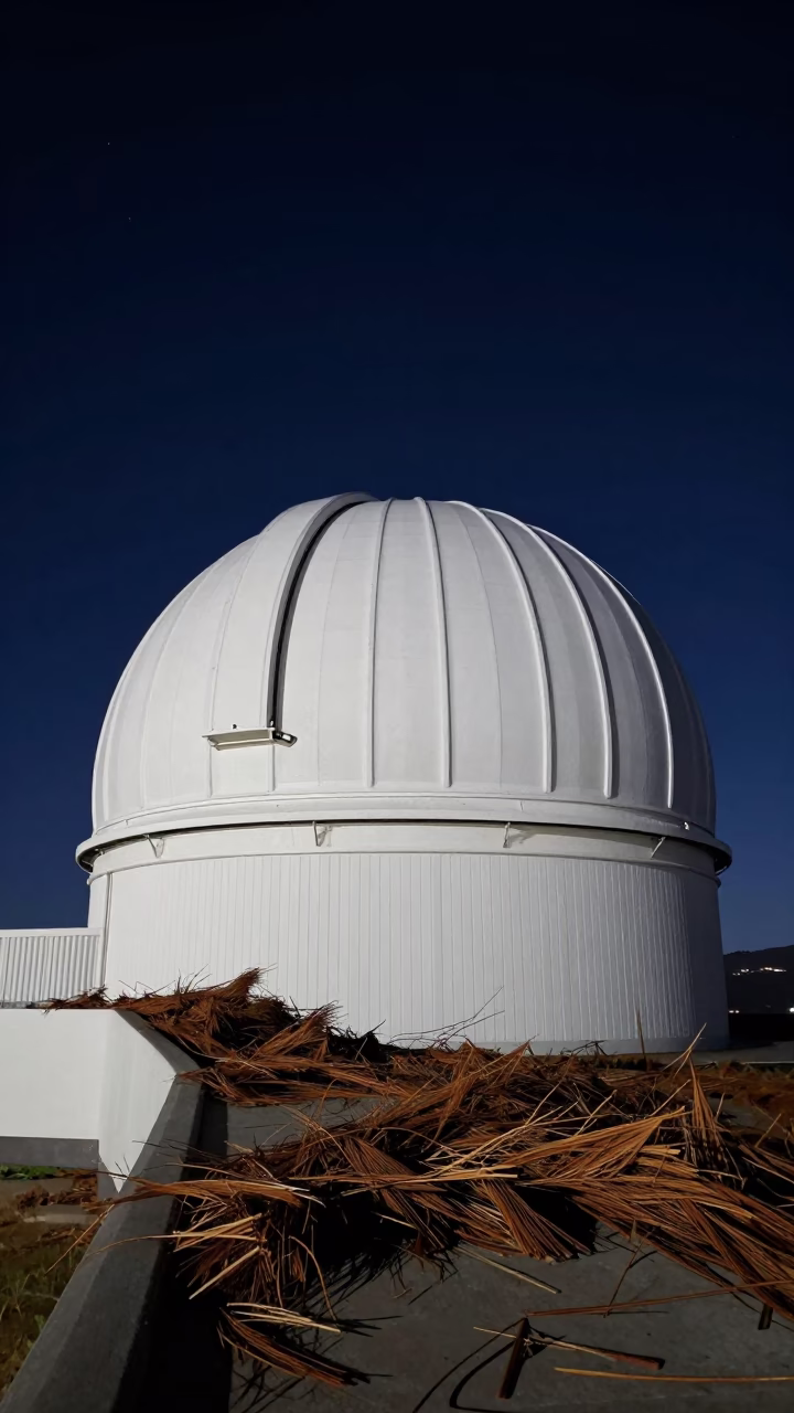 Midnight Cape Town Observatory Dome Exterior with Windblown Cedar Needles and Local Street Scene in in Cape Town, South Africa