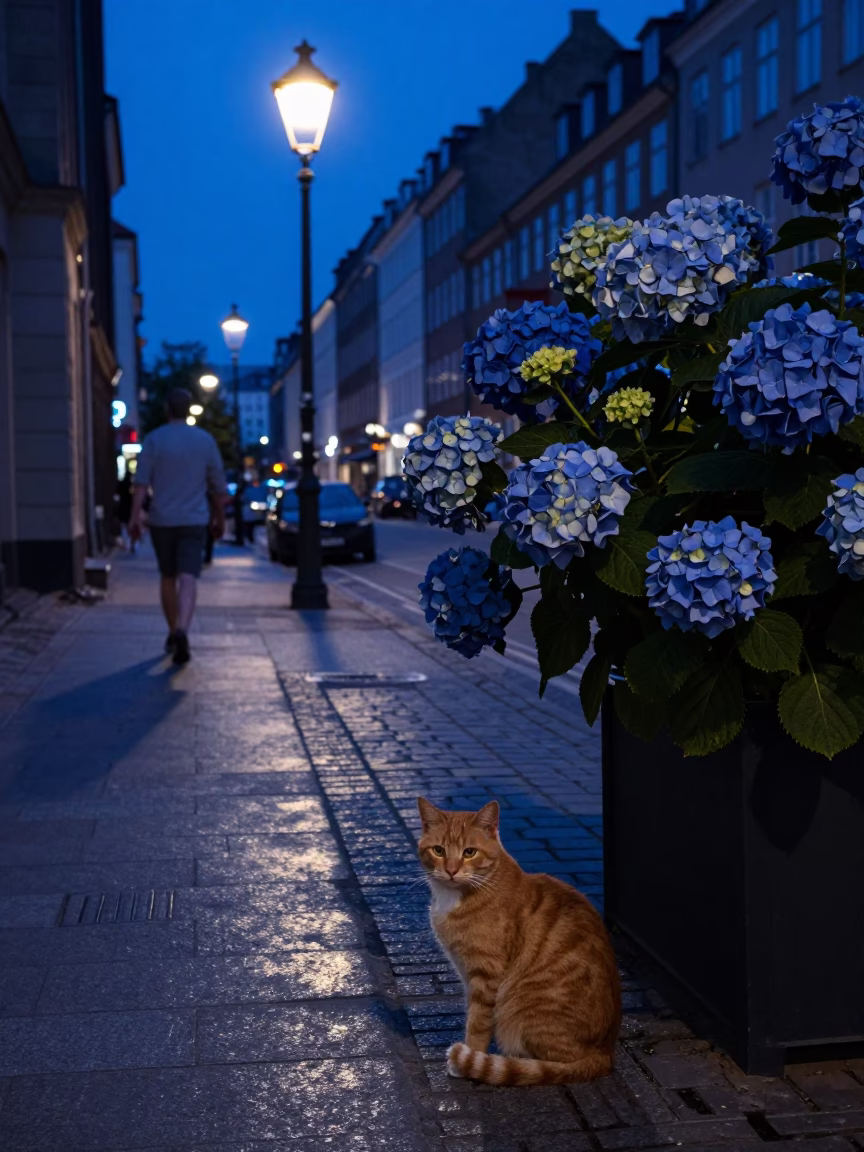 Midnight Copenhagen Street Scene with Orange Cat and Hydrangeas in in Copenhagen, Denmark