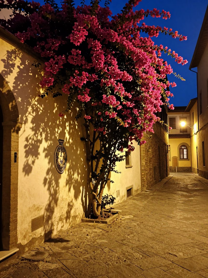 Midnight Florence Street Scene with Bougainvillea and Vintage Majolica Plate on Cobblestones in in Florence, Italy