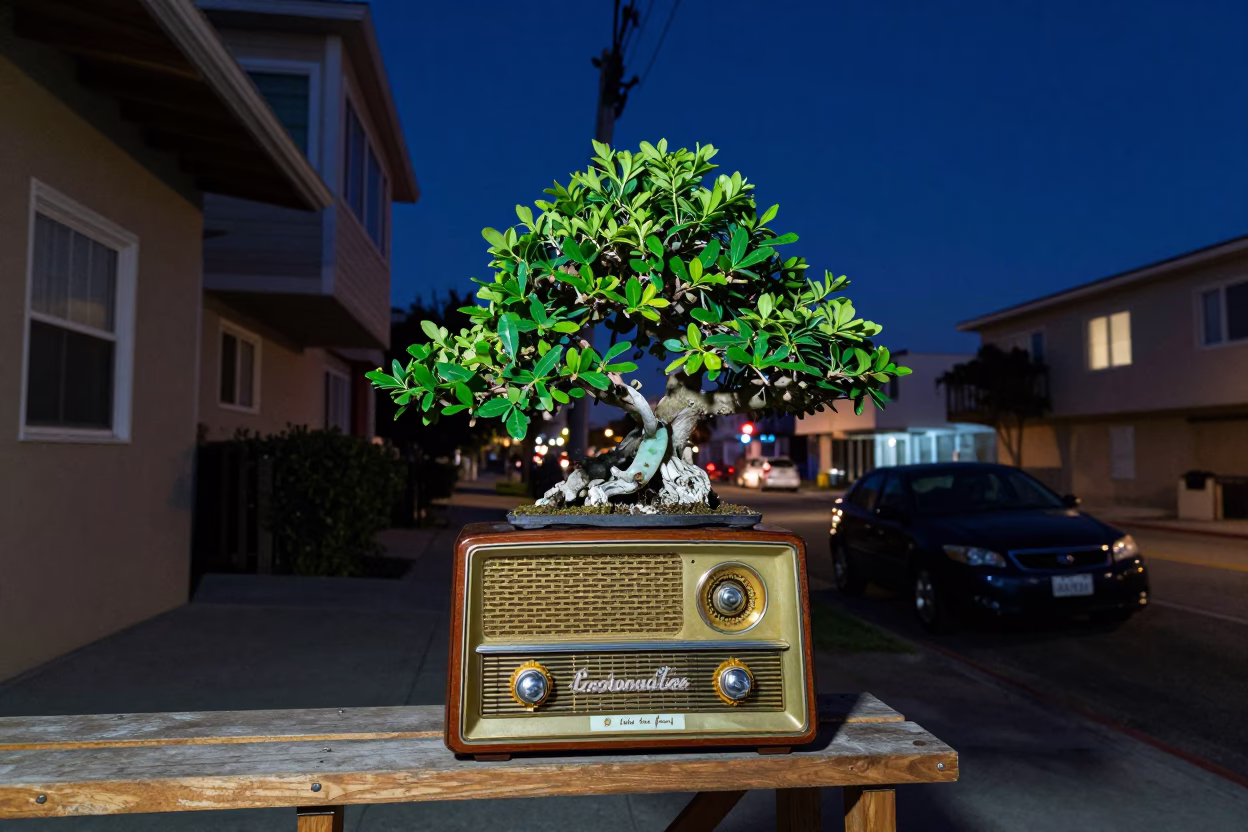 Midnight Los Angeles Street Scene with Vintage Radio and Jade Plant Bonsai on Balcony in in Los Angeles, California, United States