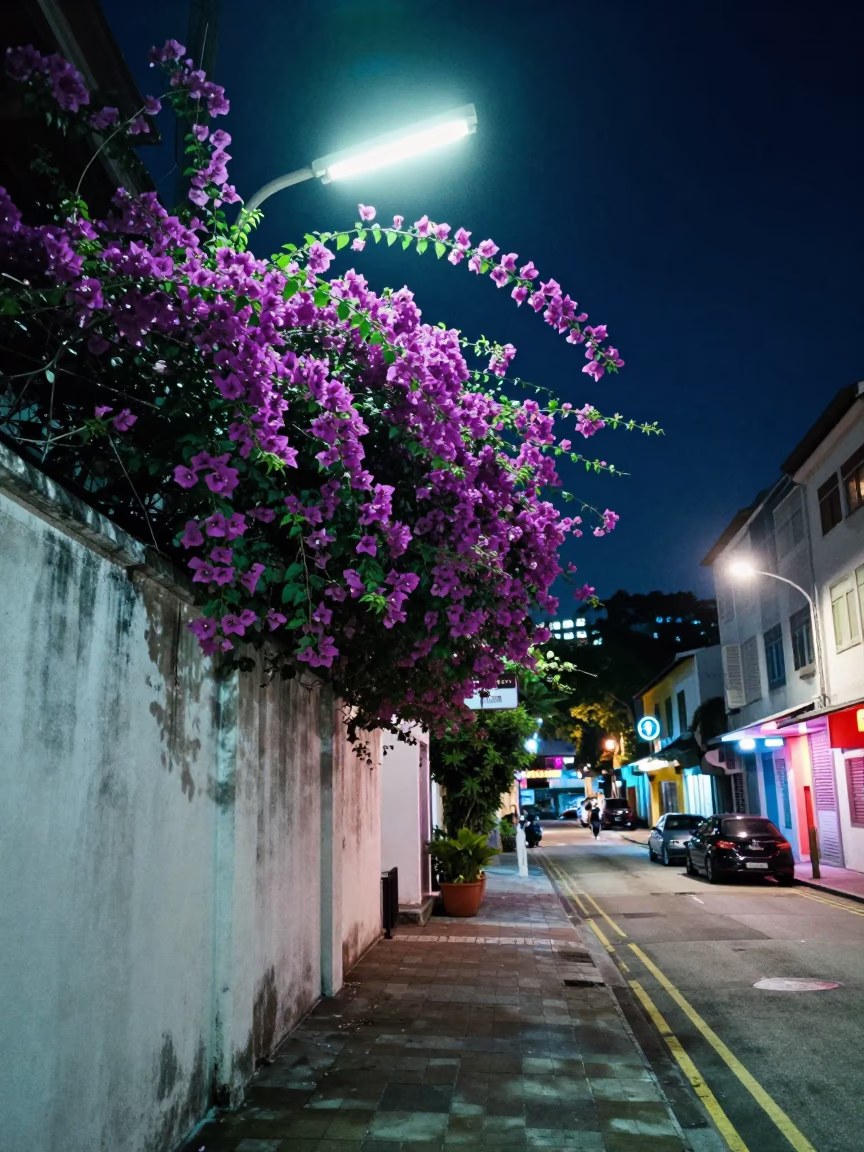 Midnight Singapore Street Scene with Neon Lights and Bougainvillea in in Singapore, Singapore