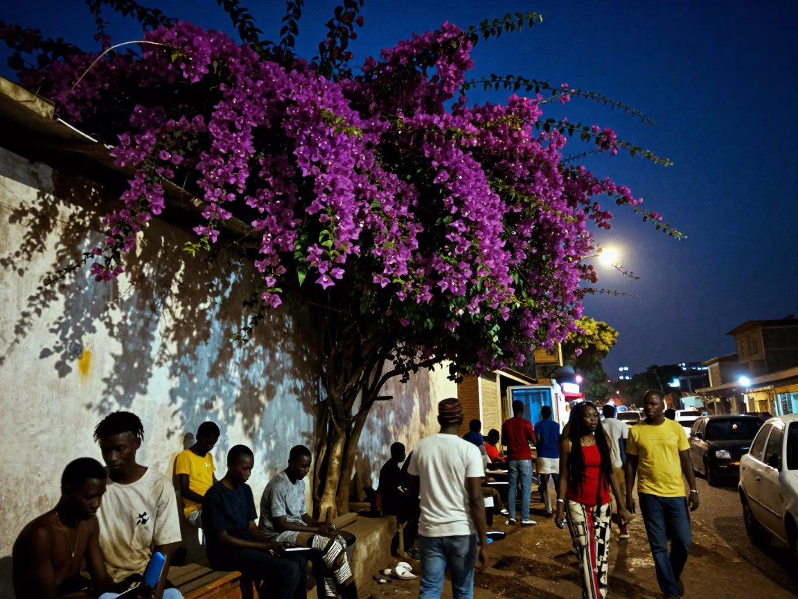 Midnight Street Scene in Accra Ghana with Bougainvillea and Local Nightlife in in Accra, Ghana