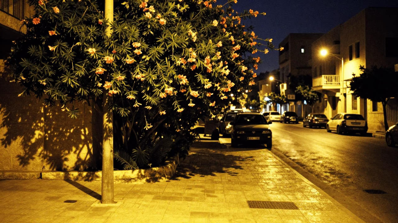 Midnight Street Scene in Beirut Lebanon with Oleander Hedge and Urban Activity in in Beirut, Lebanon