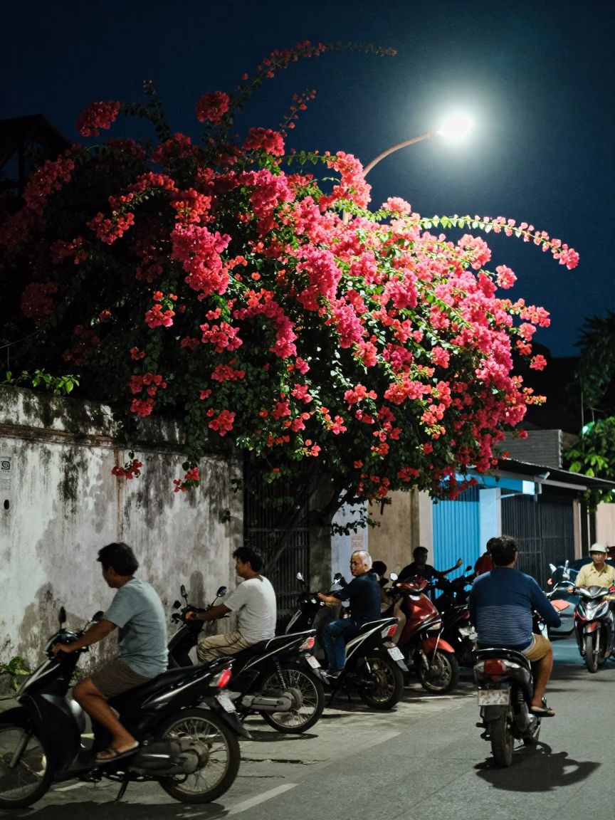 Midnight Street Scene in Denpasar Indonesia with Bougainvillea and Local Life in in Denpasar, Indonesia