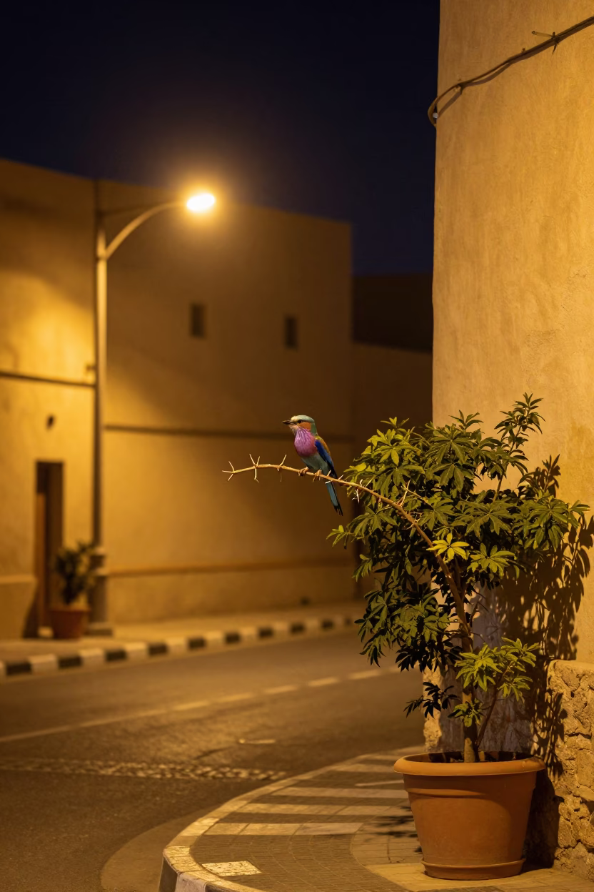 Midnight Street Scene in Muscat Oman with Lilac Breasted Roller and Brass Hinge Detail in in Muscat, Oman