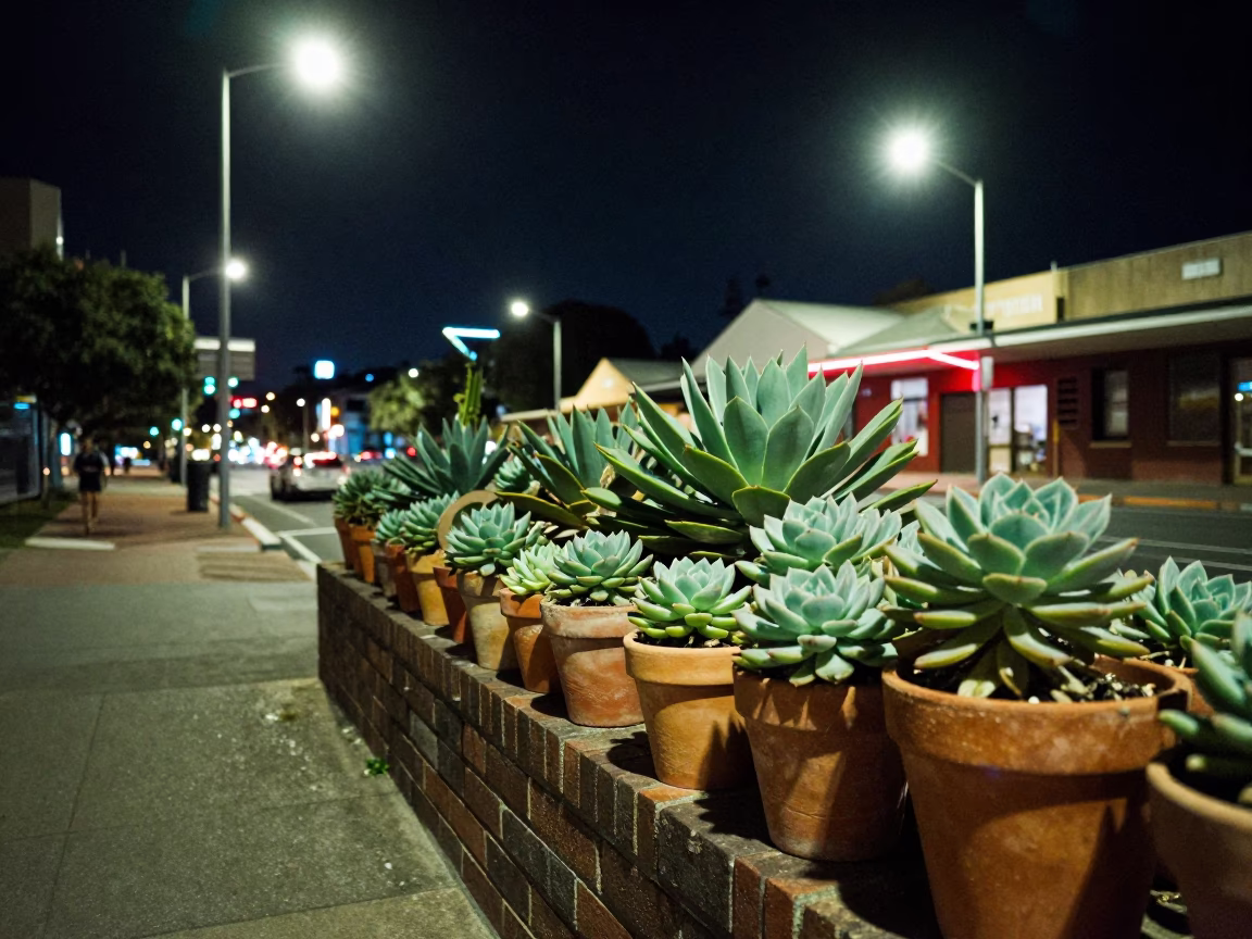 Midnight street scene in Perth Western Australia with succulents and neon lights in in Perth, Western Australia, Australia
