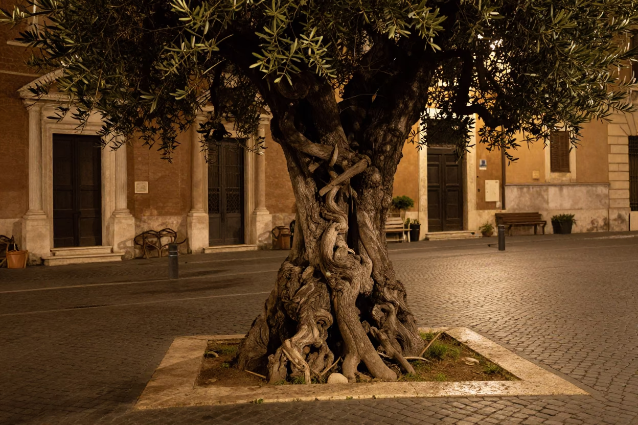 Midnight street scene in Rome Italy with ancient olive tree and urban details in in Rome, Italy