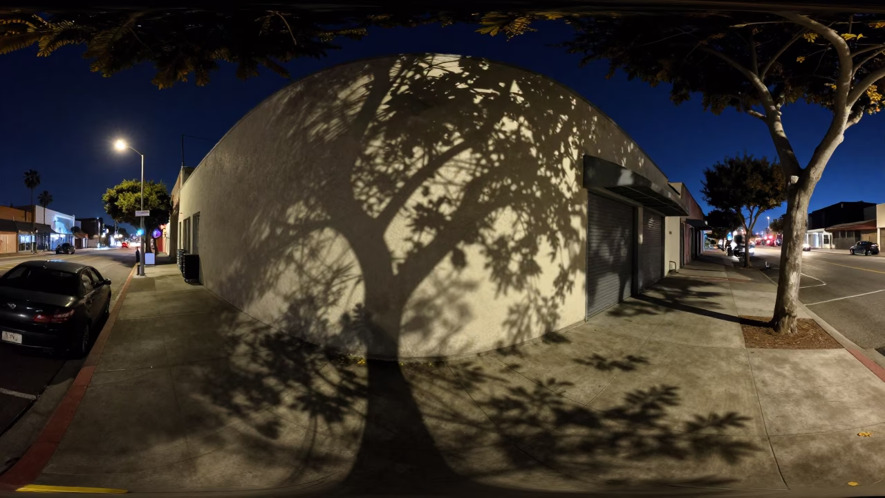 Midnight Street Scene in San Diego California with Leaf Shadows and Bookmark in in San Diego, California, United States