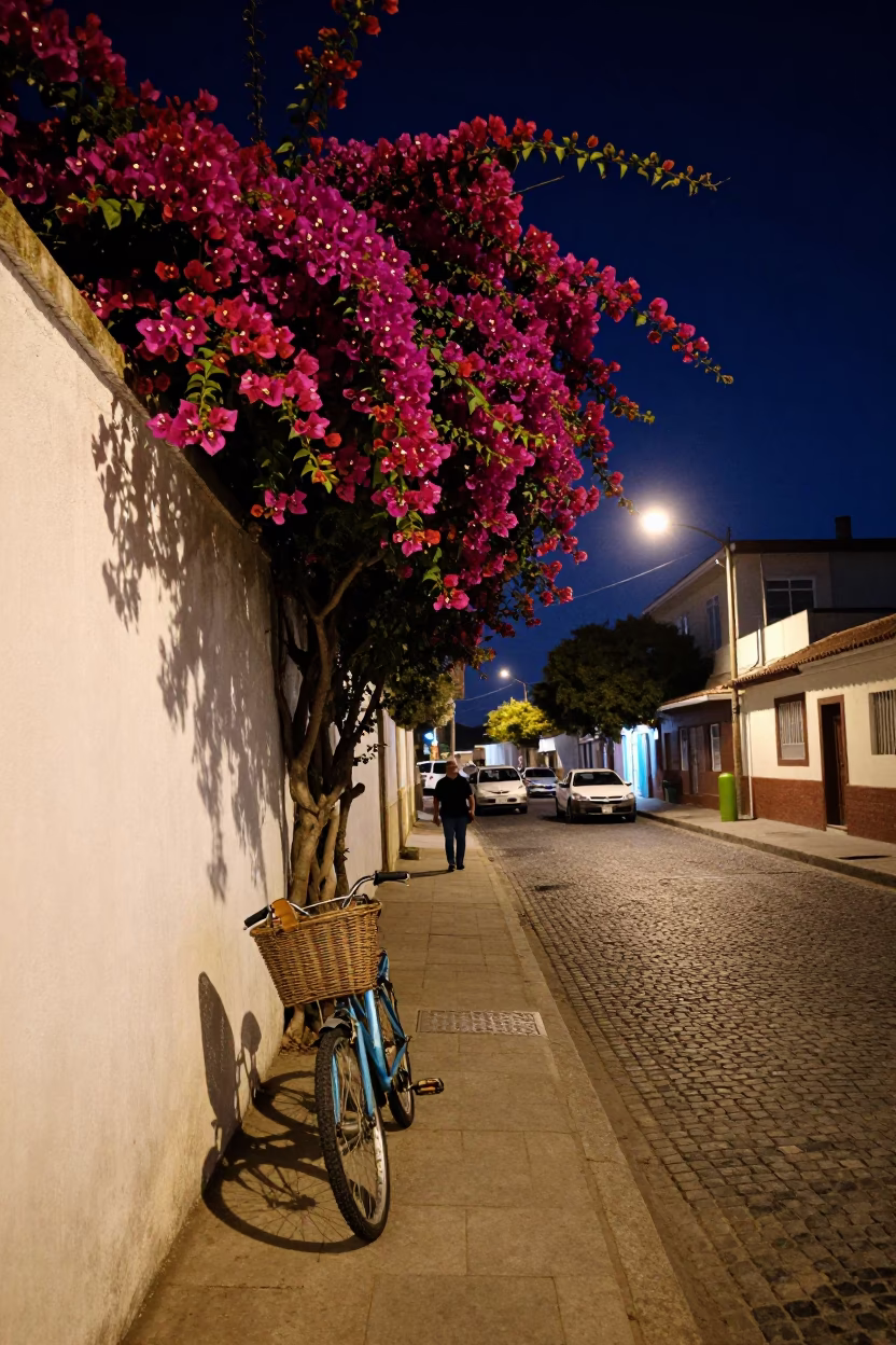 Midnight Street Scene in Valparaiso Chile with Bougainvillea and Bicycle Basket in in Valparaiso, Chile