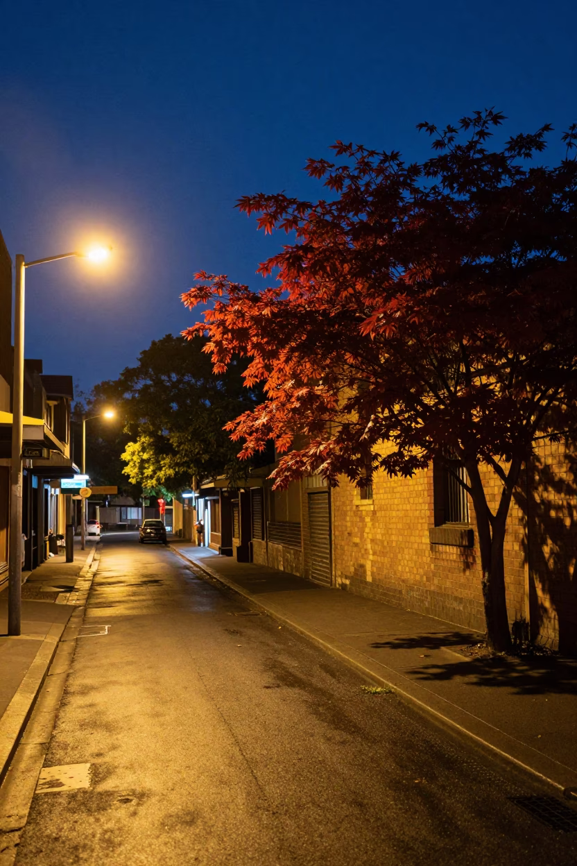 Midnight Sydney Street Scene with Japanese Maple and Colorful Urban Elements in in Sydney, New South Wales, Australia