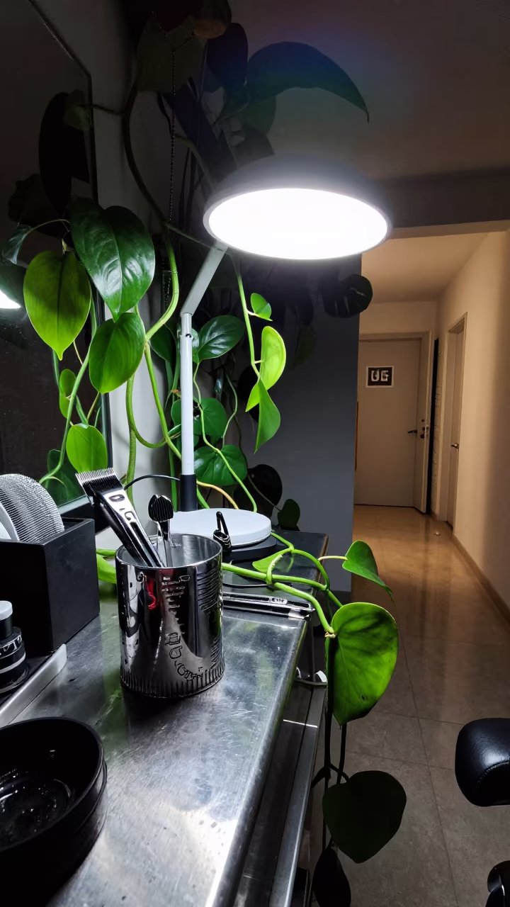 Midnight Vanity Jungle Overgrowth Dallas in at a barber station beneath mirror bulbs near Dallas