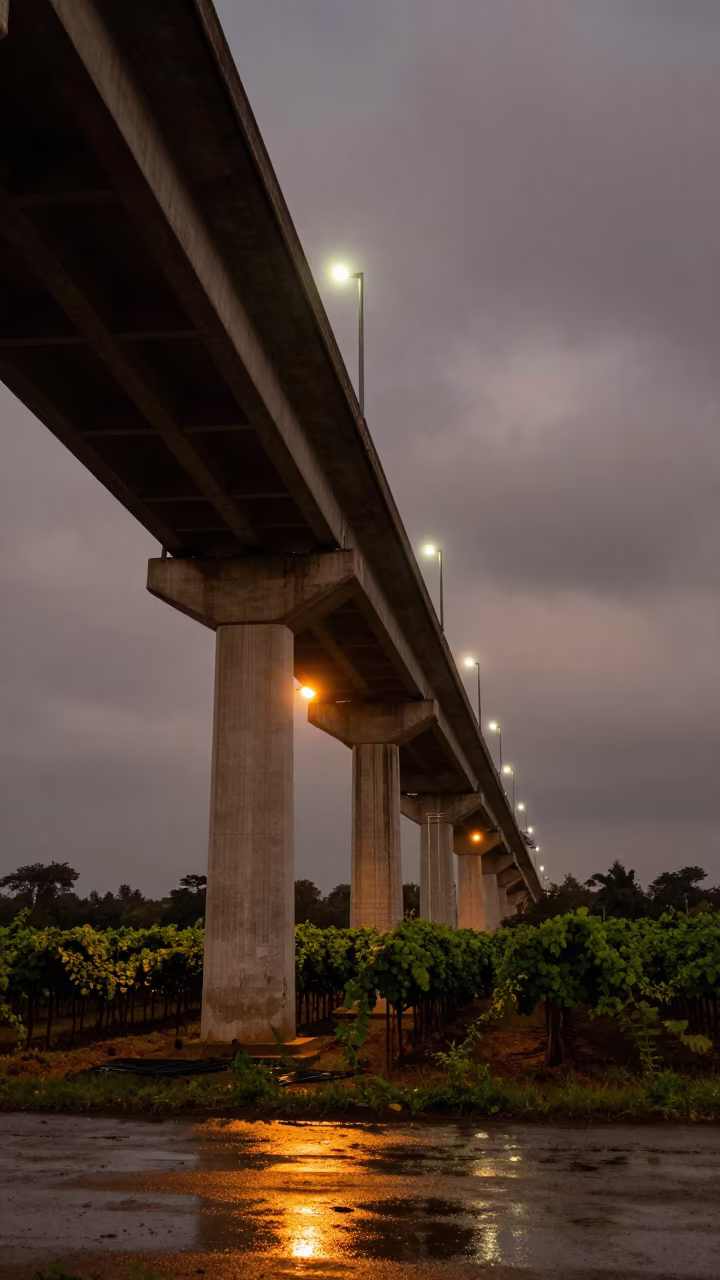 Midnight Viaduct Over Senegalese Vineyards in beneath a bridge span in Senegal