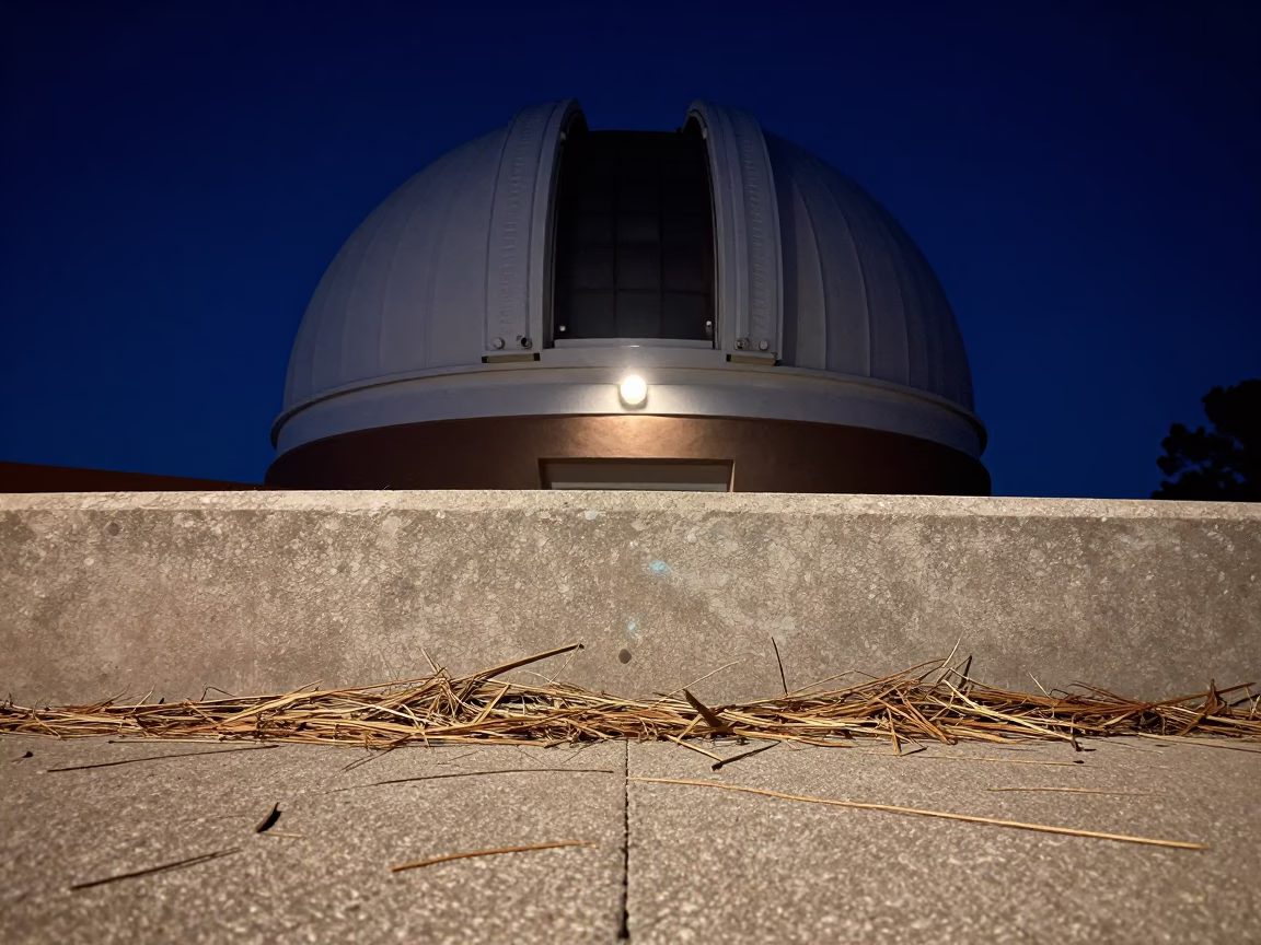 Midnight View of Santa Fe Observatory Dome Threshold with Cedar Needles in New Mexico in in Santa Fe, New Mexico, United States