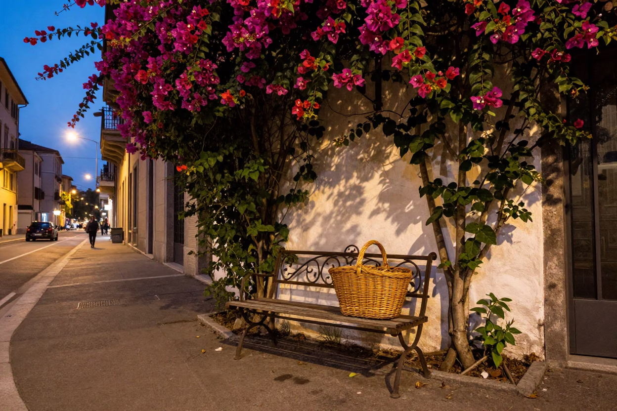 Milan Early Evening Street Scene with Bougainvillea and Wicker Basket in in Milan, Italy
