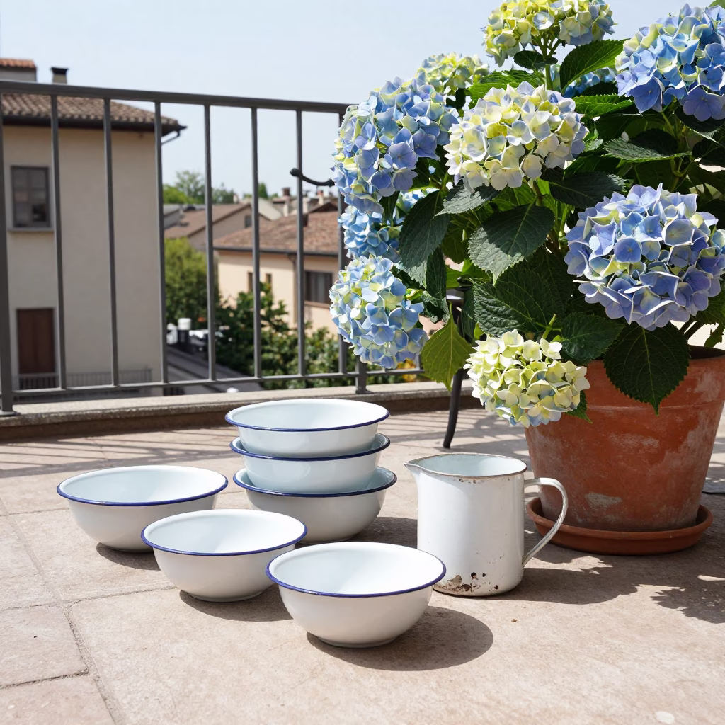 Milan Hydrangeas at Flat Noon Light in in Milan, Italy