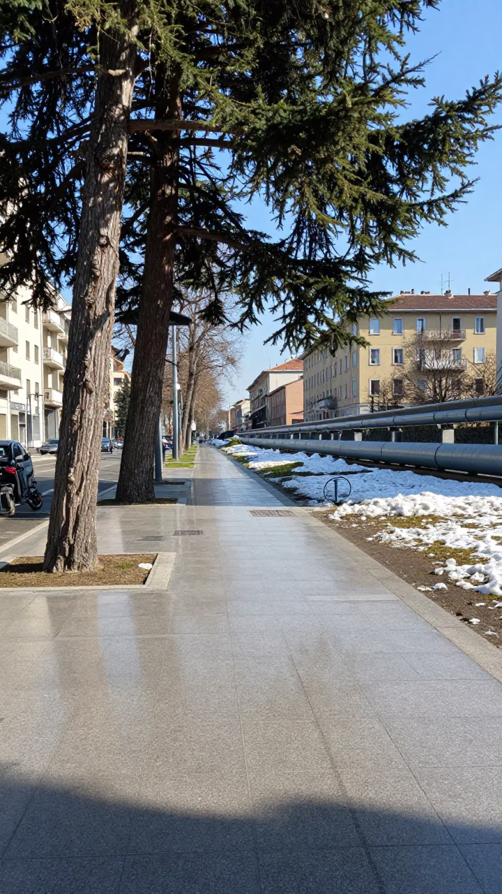 Milan Italy Midday Street Scene with Cedar Tree and Urban Infrastructure in in Milan, Italy