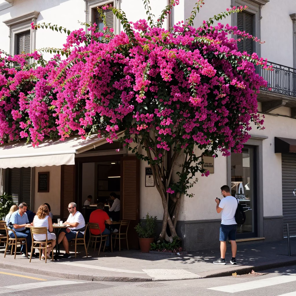 Milan Italy Noon Street Scene with Bougainvillea and Local Cafe Activity in in Milan, Italy