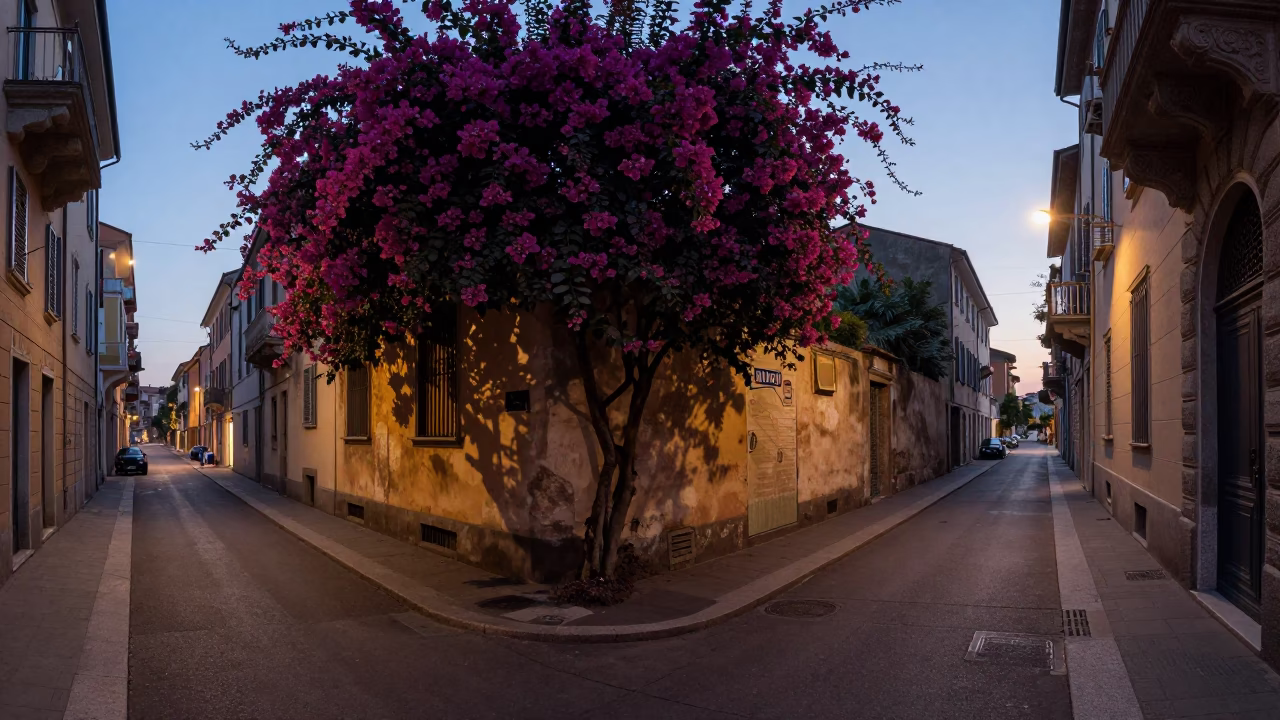 Milan Italy pre-dawn street scene with bougainvillea and urban details in in Milan, Italy