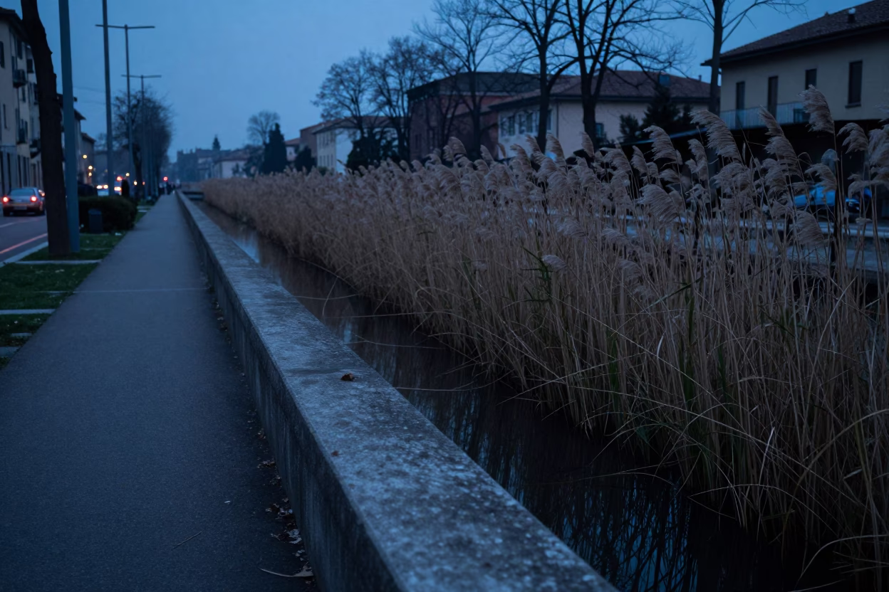 Milan Italy pre-dawn street scene with concrete canal and reeds at dawn in in Milan, Italy