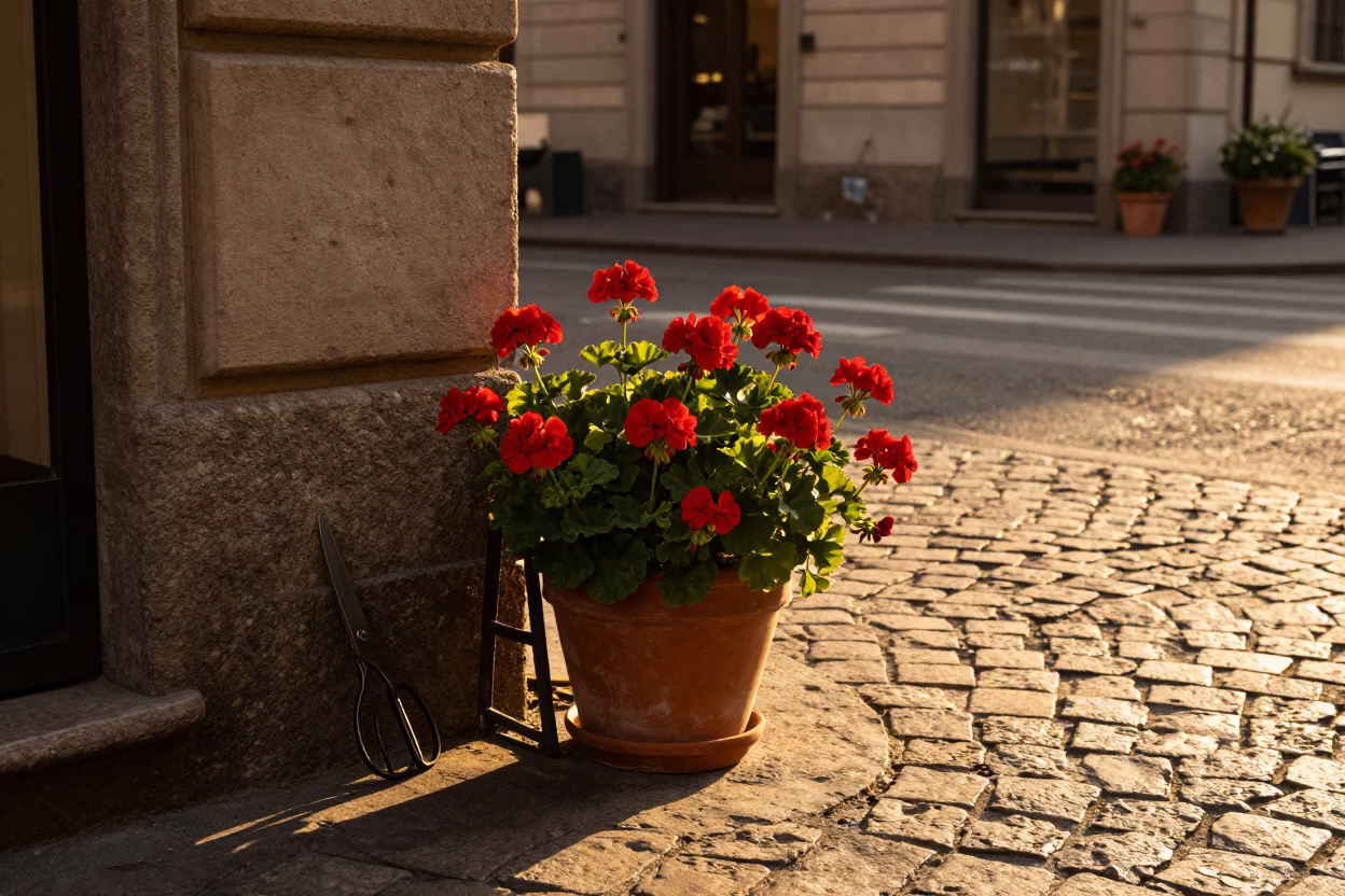 Milanese Street Corner with Geraniums and Tailor Shears in in Milan, Italy