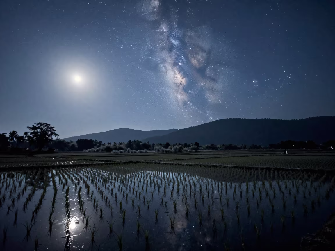 Milky Way Reflected in Sri Lankan Rice Paddy in from a frost-hushed ridgeline in Sri Lanka