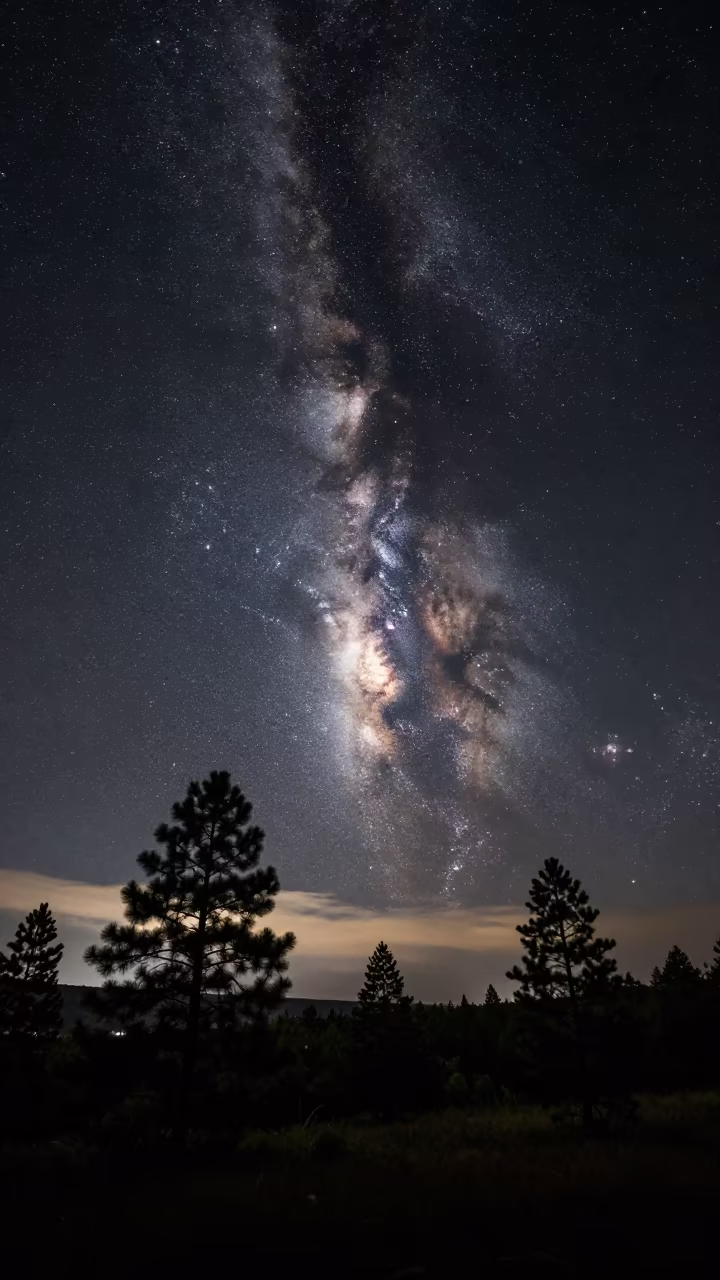 Milky Way Setting Behind Samara Pine Ridge in beneath a dark-sky overlook near Samara