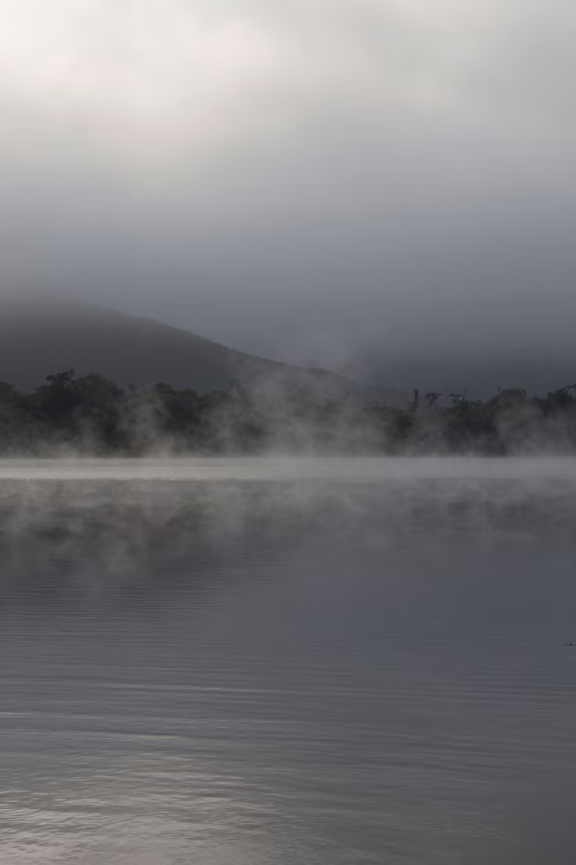 Mist Rising From Lake Santa Rita Dawn in near Santa Rita