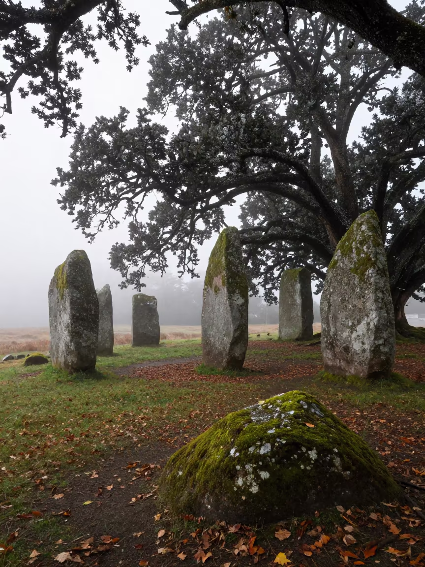 Misty Dawn Ancient Oaks and Standing Stones in along a salt-sprayed cliff edge in Oregon