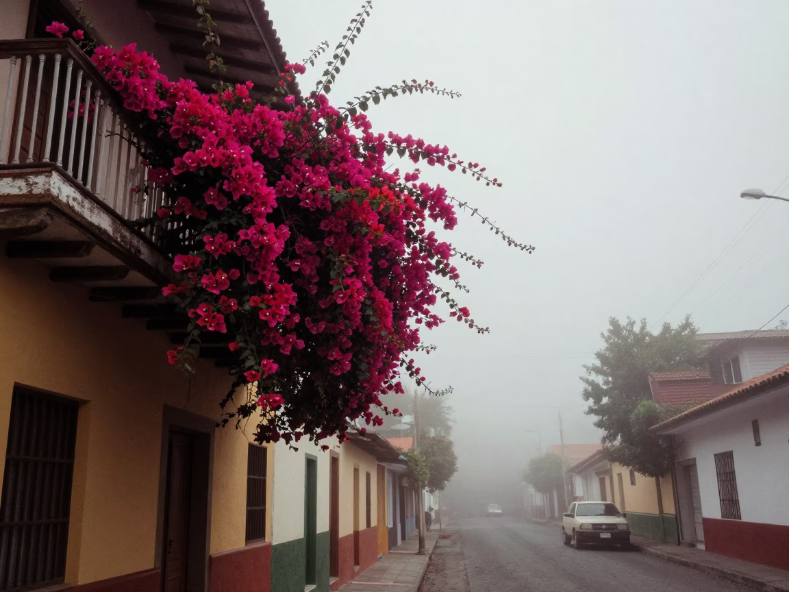 Misty dawn street scene in Medellin with bougainvillea and daily life in in Medellin, Colombia