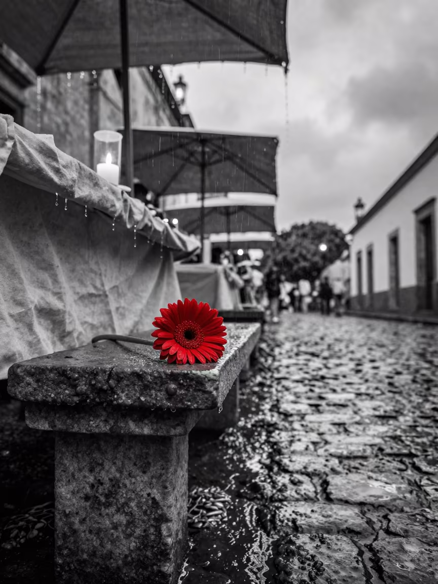 Monochrome Rain on Cobblestones and One Red Flower in at a flower auction bench in Guanajuato