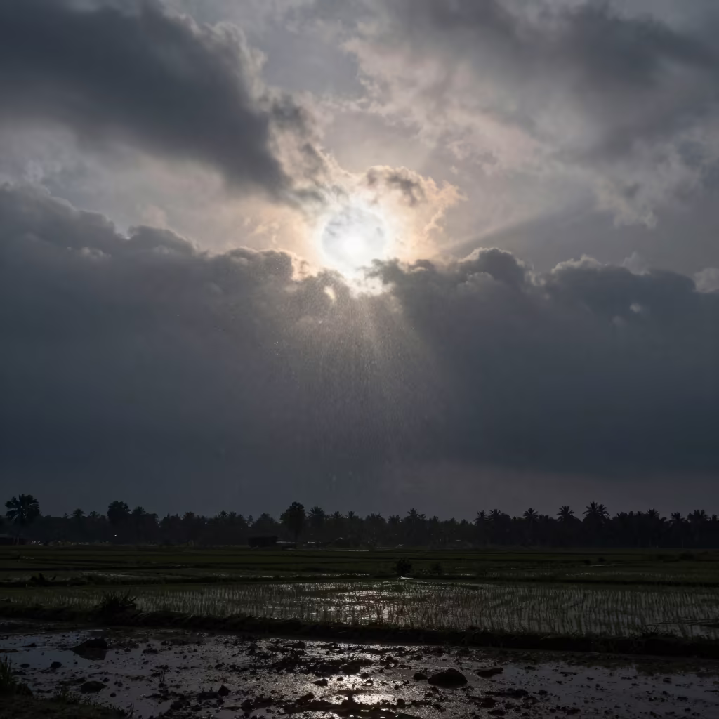 Monsoon Cloud with Virga Falling Through Shadow in in Bangladesh