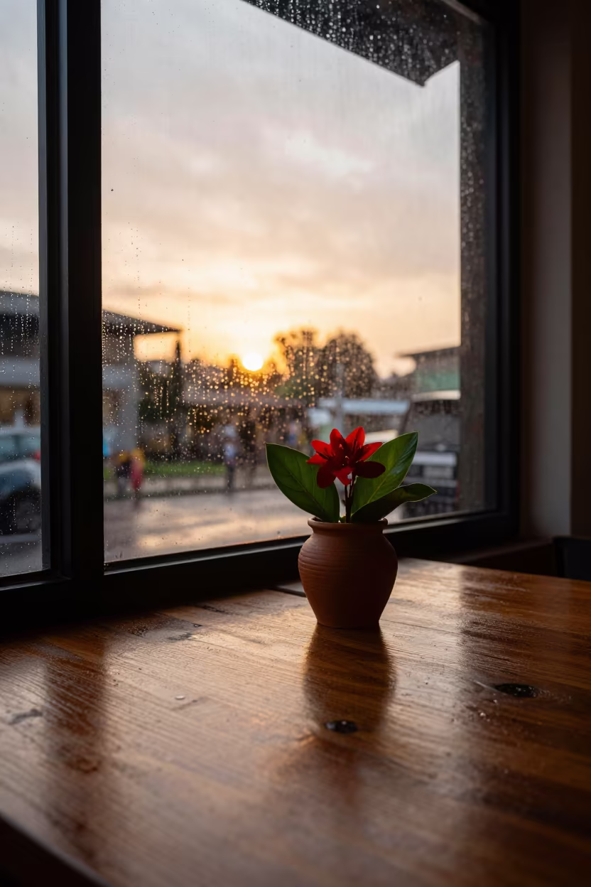 Monsoon Evening Flower Arrangement on Cafe Table in on a cafe table by a window near Lubumbashi