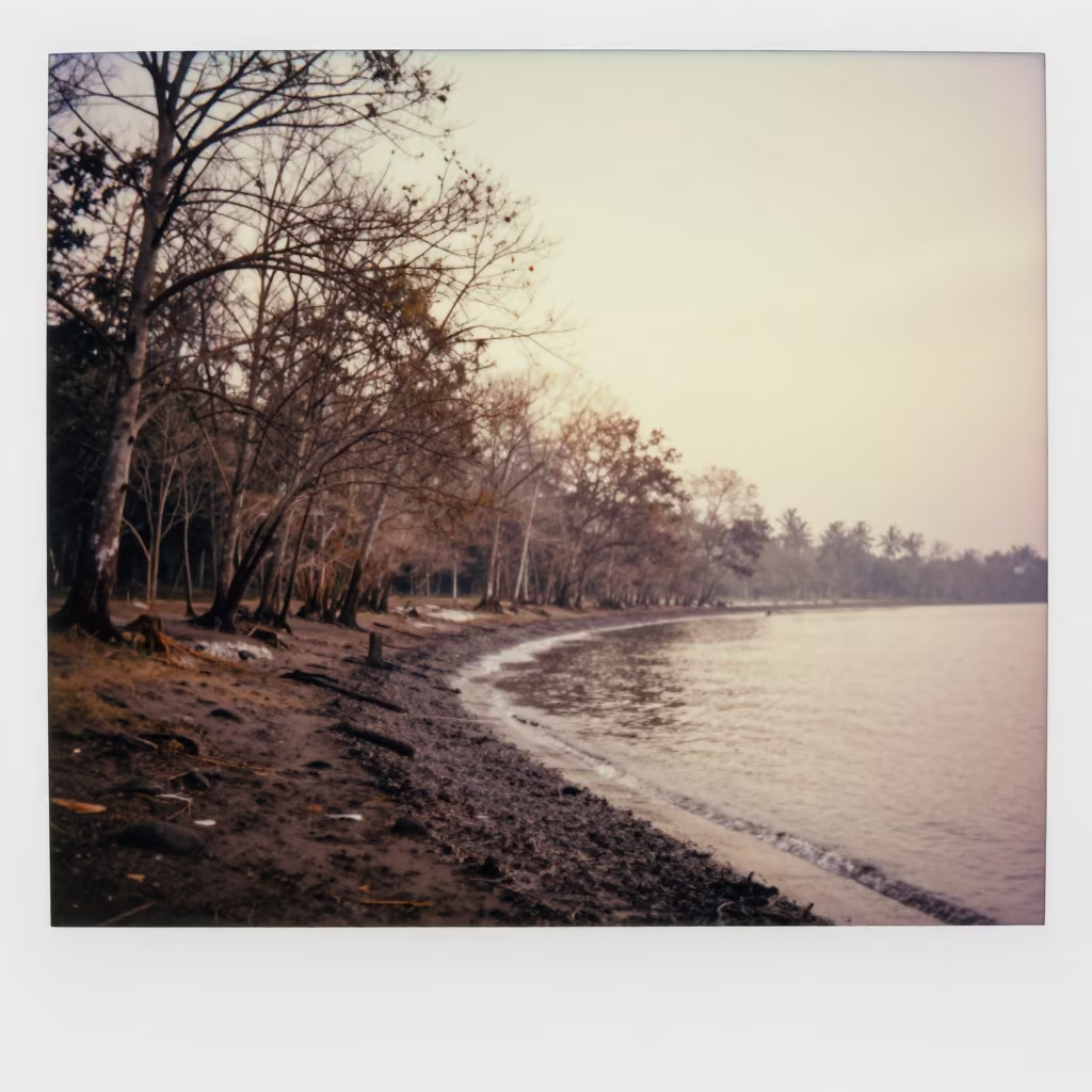 Monsoon Forest Along Bali Shoreline at Sunrise in along a wave-cut shoreline in Bali