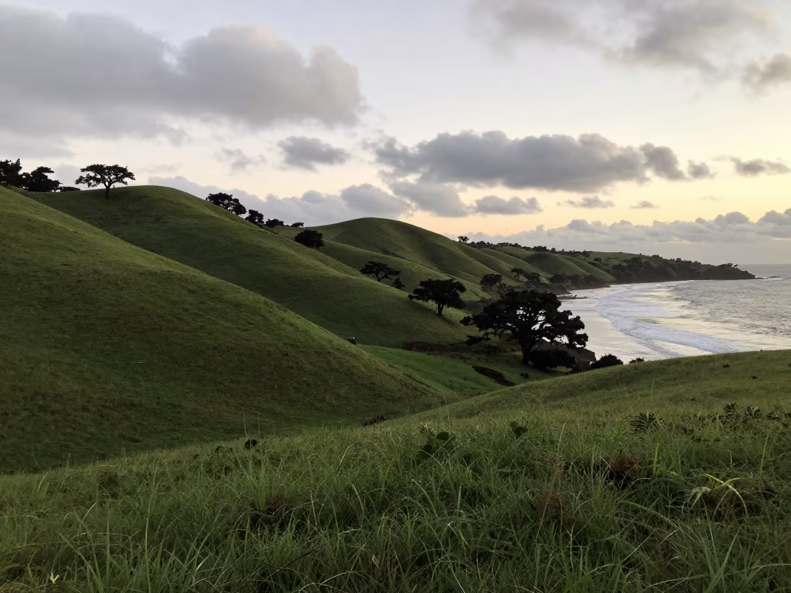 Monsoon Oaks on Rolling Hills Near Cua Shoreline in along a wave-cut shoreline near Cúa