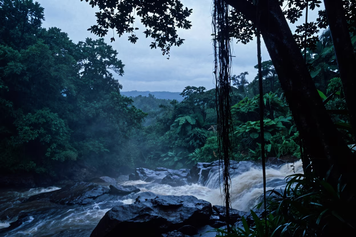Monsoon Twilight Waterfall in Dense Maputo Jungle in near Maputo