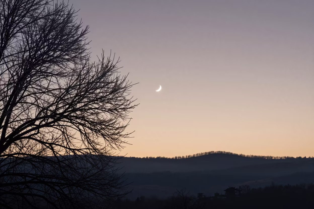 Moon Silhouette Through Frosty Branches in from a frost-hushed ridgeline near Merida