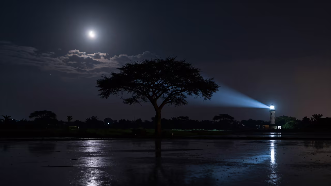 Moonlit Acacia in Myanmar Rainy Night in beneath thin cloud gaps and stars in Myanmar