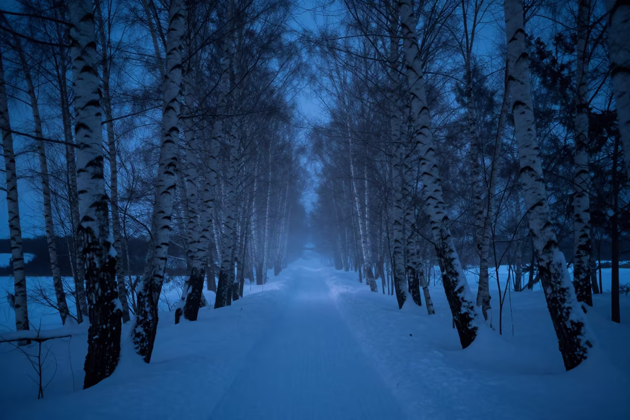 Moonlit Birch Path in Winter Mist Near Reykjavik in beneath a hard winter sky over snowfields near Grandi, Reykjavik