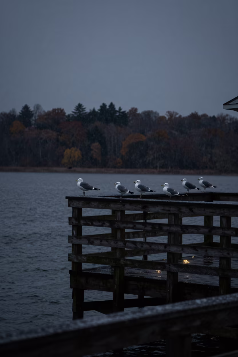 Moonlit Pier Silhouettes Against Autumn Rain in from a frost-hushed ridgeline in Germany