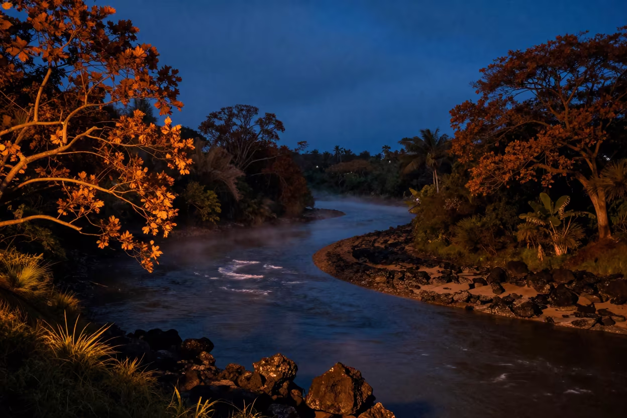 Moonlit River Bend Autumn Canopy Mauritius in along a wave-cut shoreline in Mauritius
