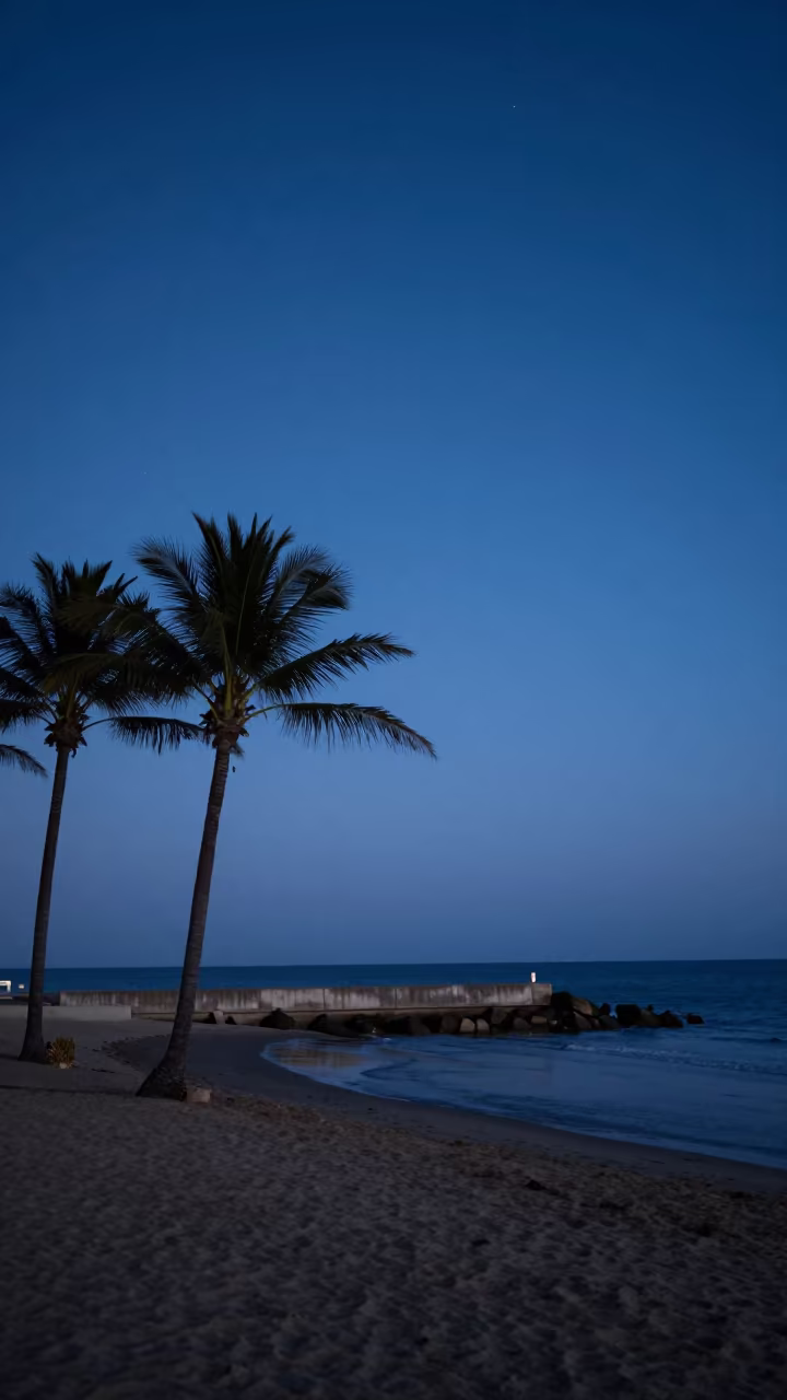 Moonlit Tel Aviv Beach with Silhouetted Palms in from a moonlit breakwater near Tel Aviv