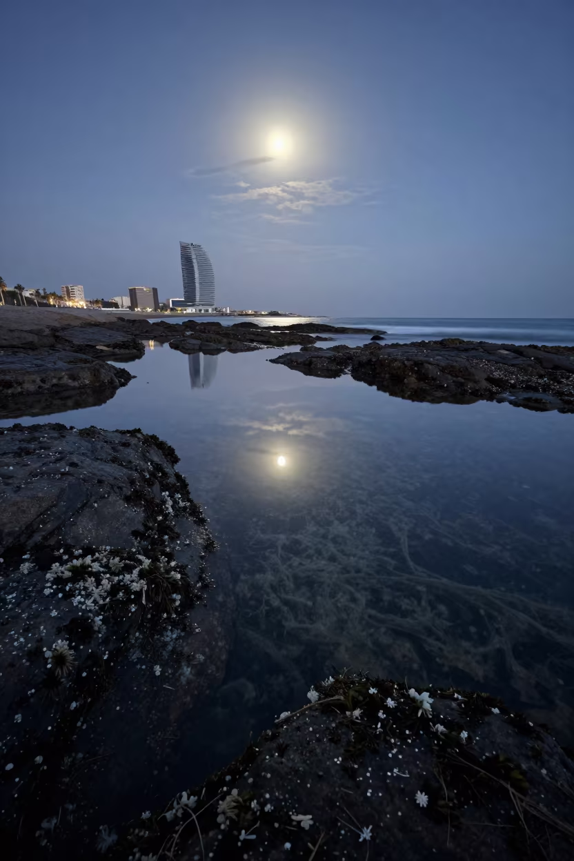 Moonlit Tide Pools and Clouds Near Barcelona in near Barcelona